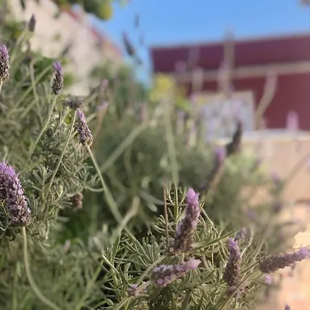 Con Bano Y Jardin Privado En Casa Tipica Centro *
