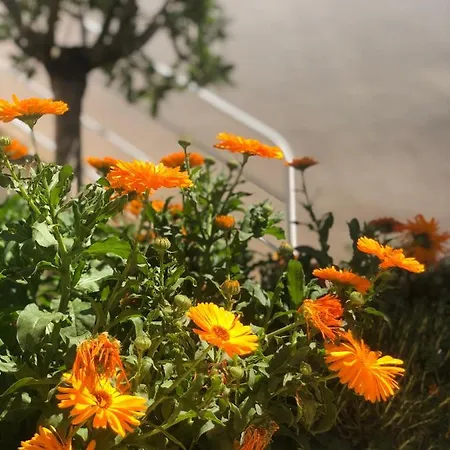 Con Bano Y Jardin Privado En Casa Tipica Centro Kwatera prywatna *