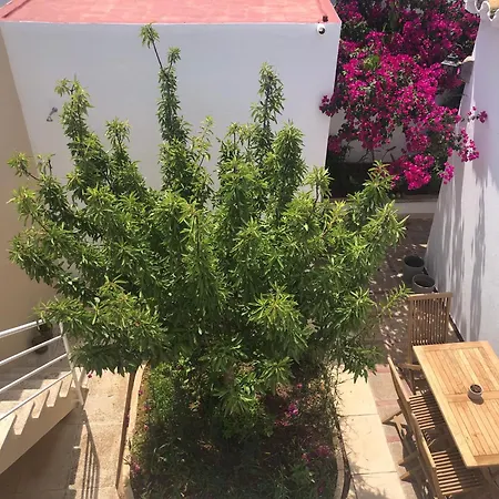 Con Bano Y Jardin Privado En Casa Tipica Centro Ciutadella (Menorca)