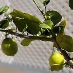 Проживание в семье Casa Tipica Centro