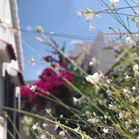 Con Bano Y Jardin Privado En Casa Tipica Centro * 시우타데야