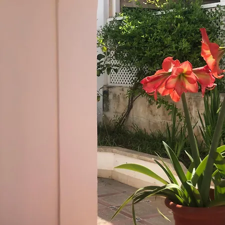 Casa Tipica Centro * Ciutadella (Menorca)